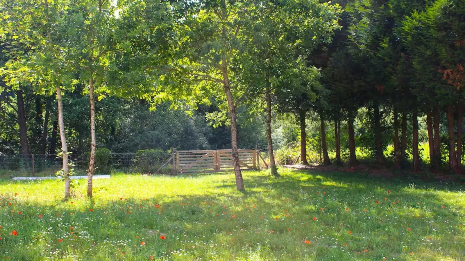 Le Moulin de Lachalade-Tuinen zomer