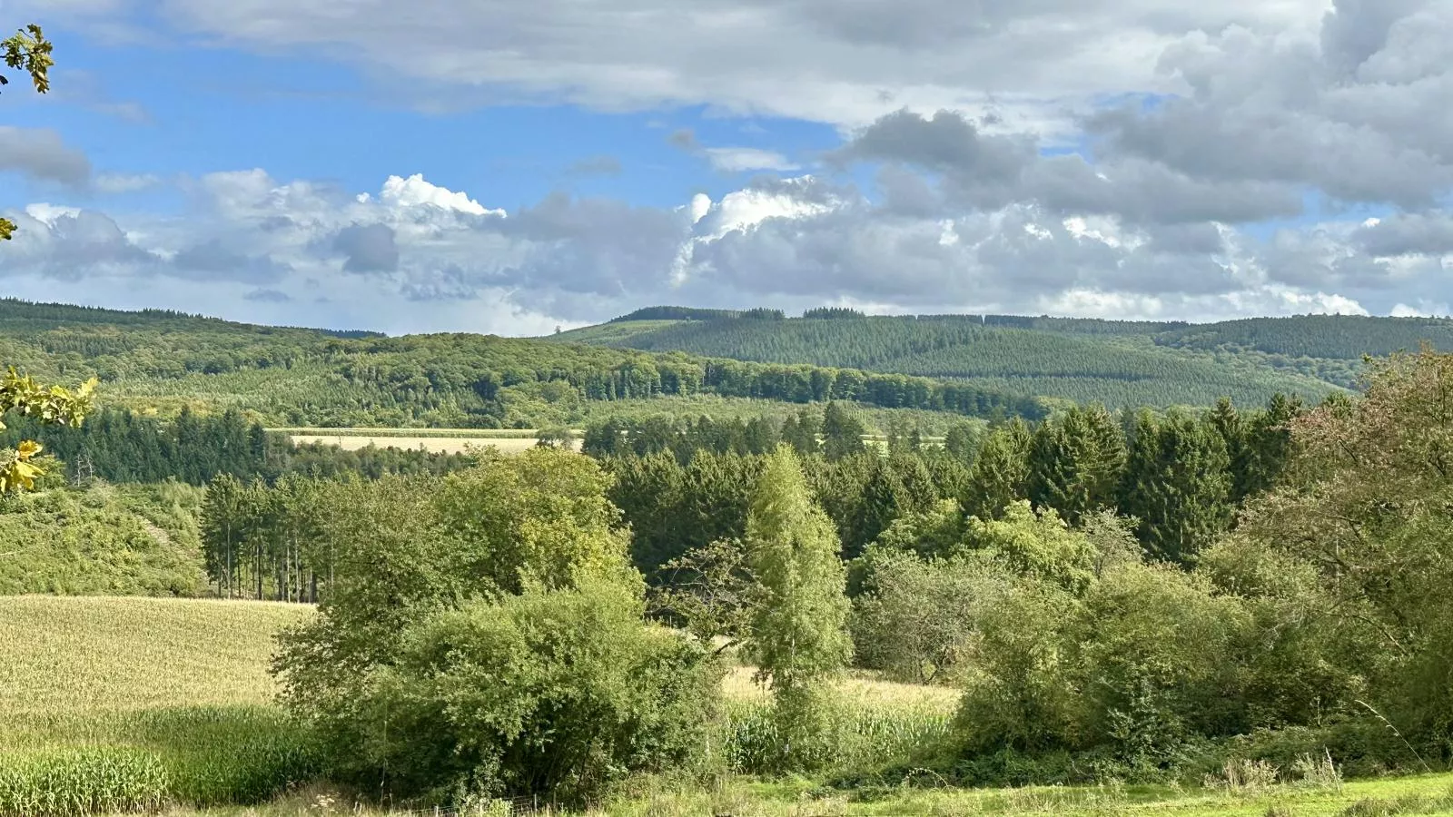Boogie House-Gebieden zomer 1km