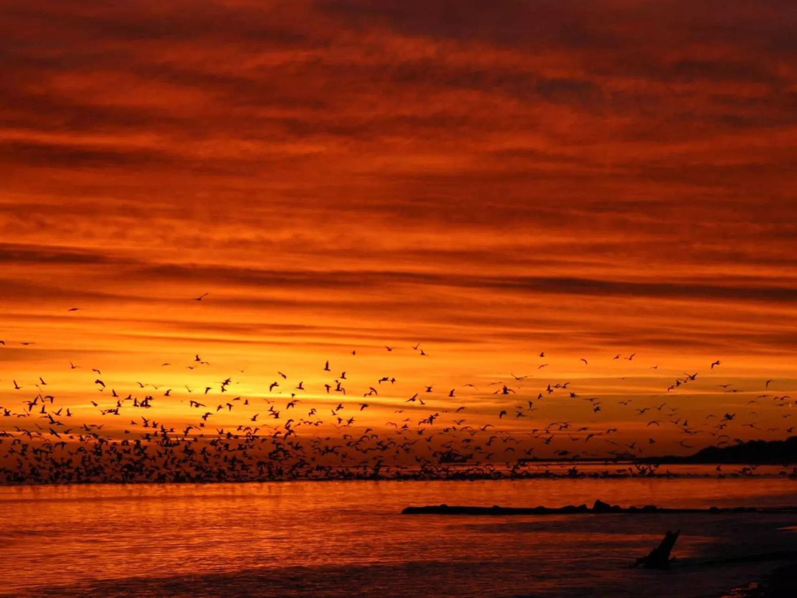 "Grep" - 800m from the sea-Buiten