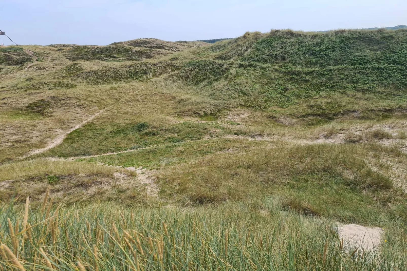 4 persoons vakantie huis in Skagen-By Traum