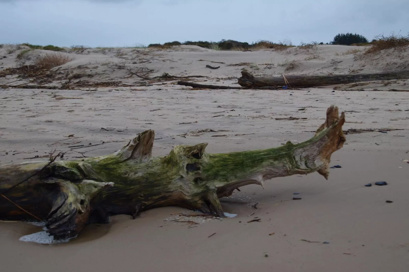 8 persoons vakantie huis in Bindslev-By Traum