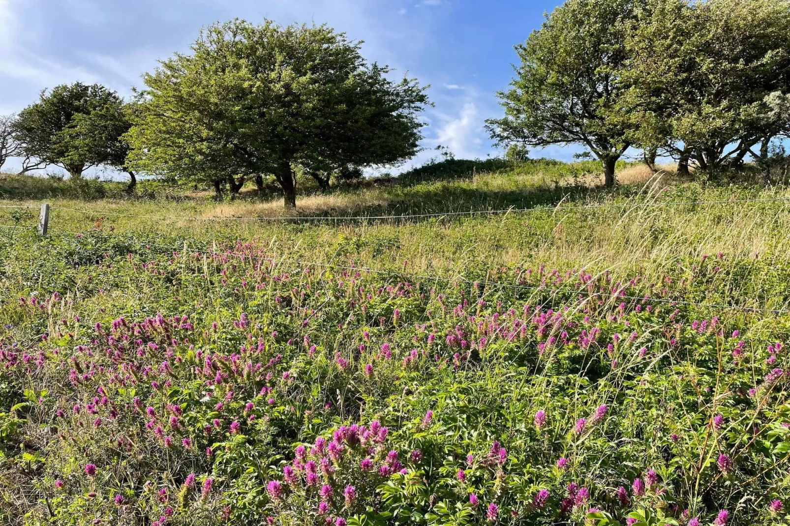 Helder strandhuis -- By Traum Ferienwohnungen
