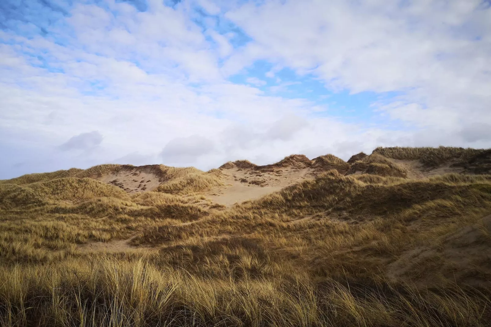 10 persoons vakantie huis in Bindslev-By Traum