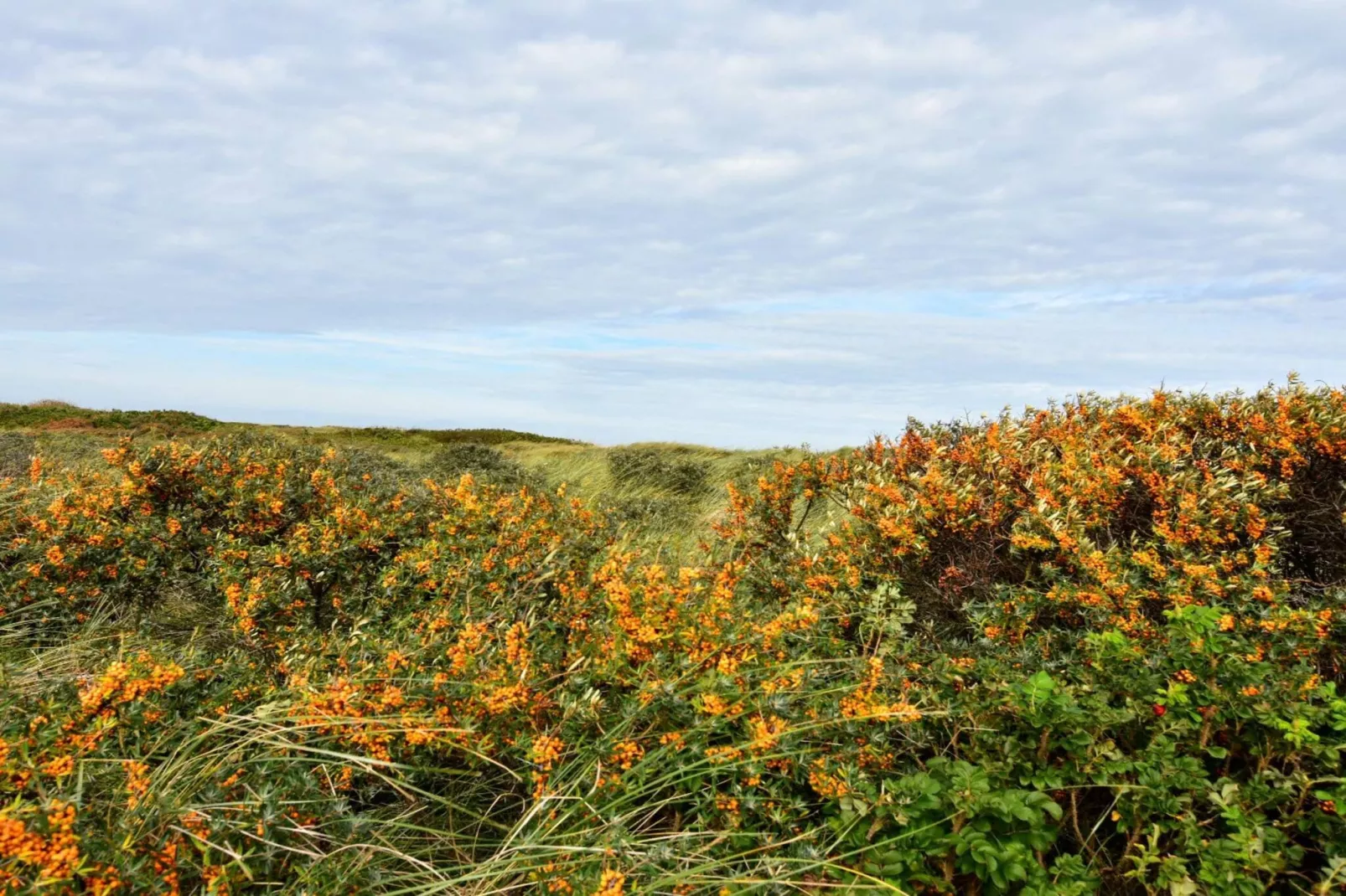 Afgelegen toevlucht nabij strand -- By Traum Ferienwohnungen-Niet-getagd