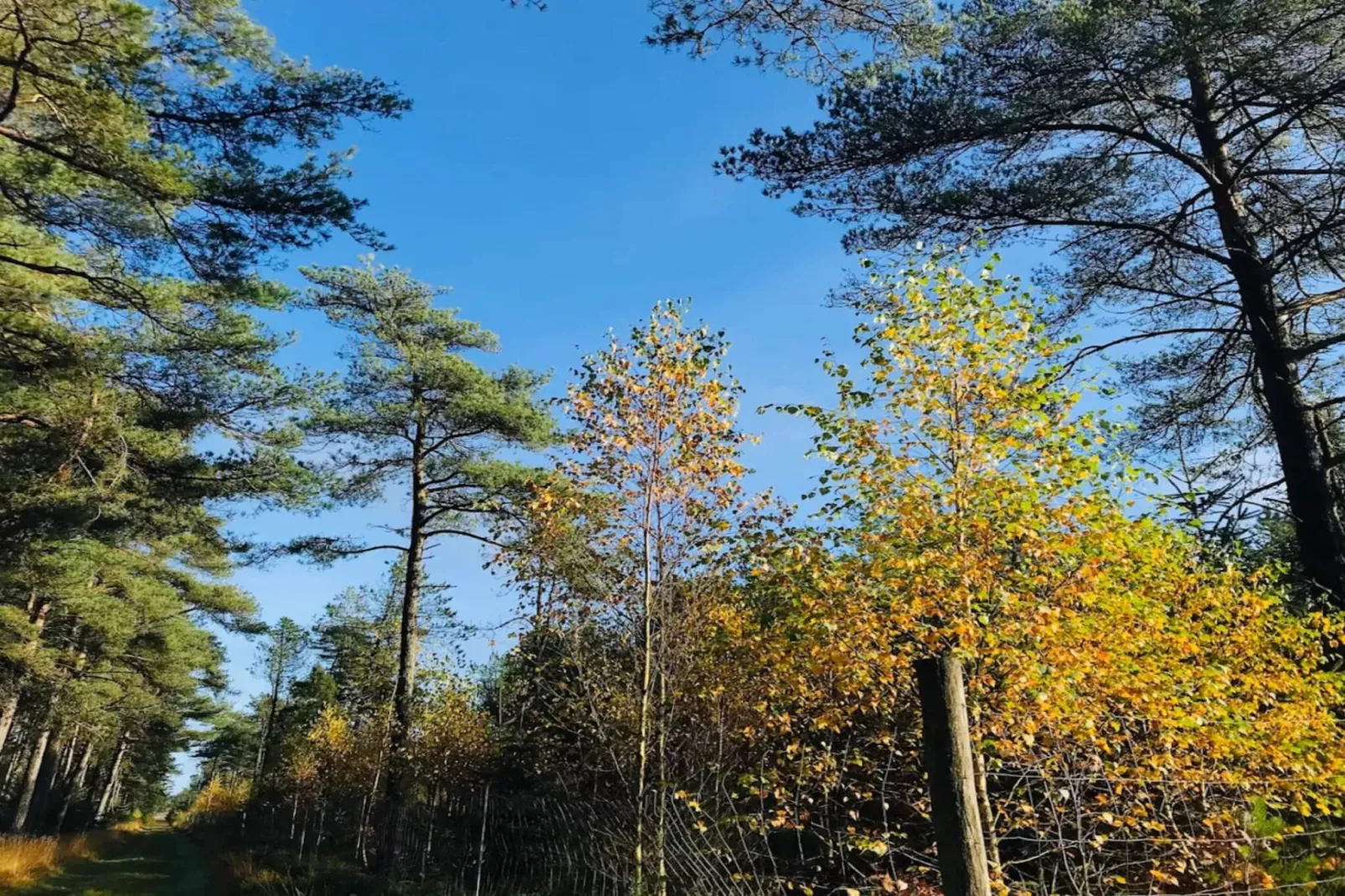 7 persoons vakantie huis in Fjerritslev-By Traum-Niet-getagd