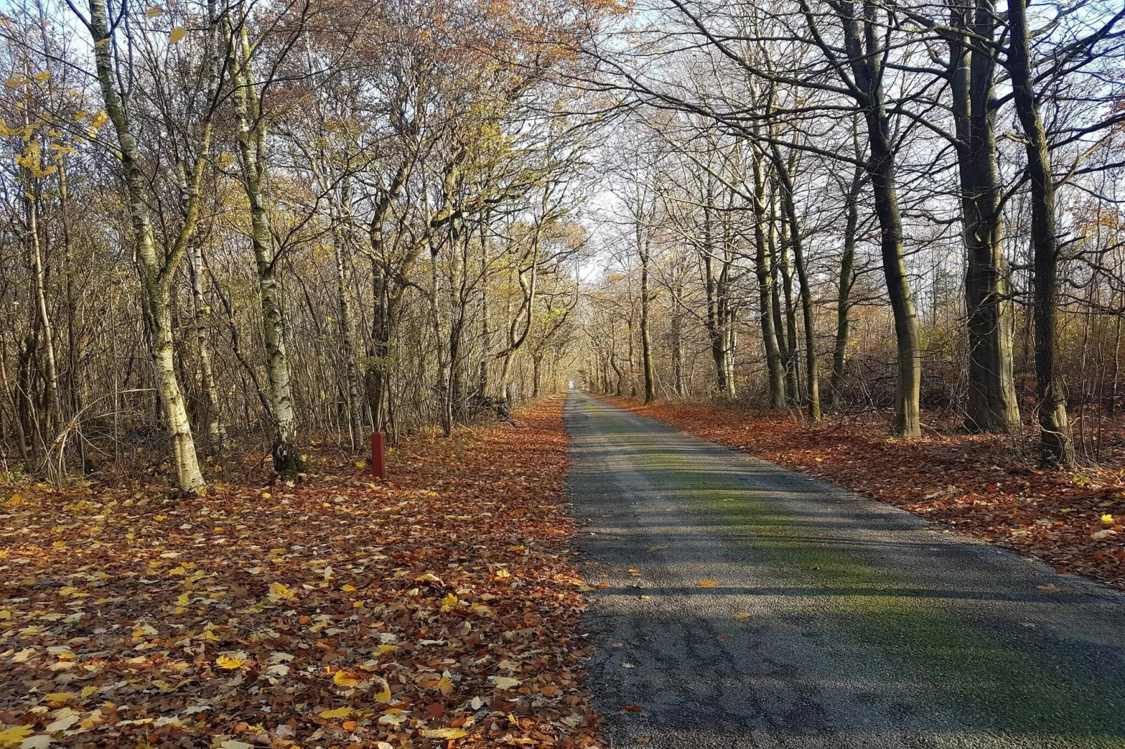 8 persoons vakantie huis in Toftlund-By Traum-Niet-getagd
