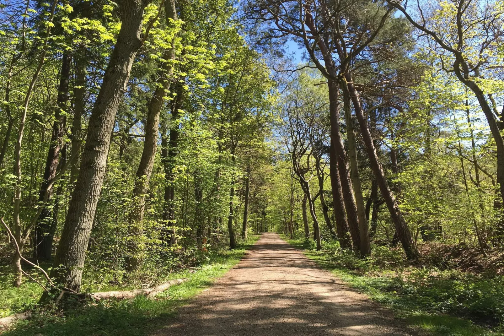 8 persoons vakantie huis in Frederiksværk-By Traum-Niet-getagd