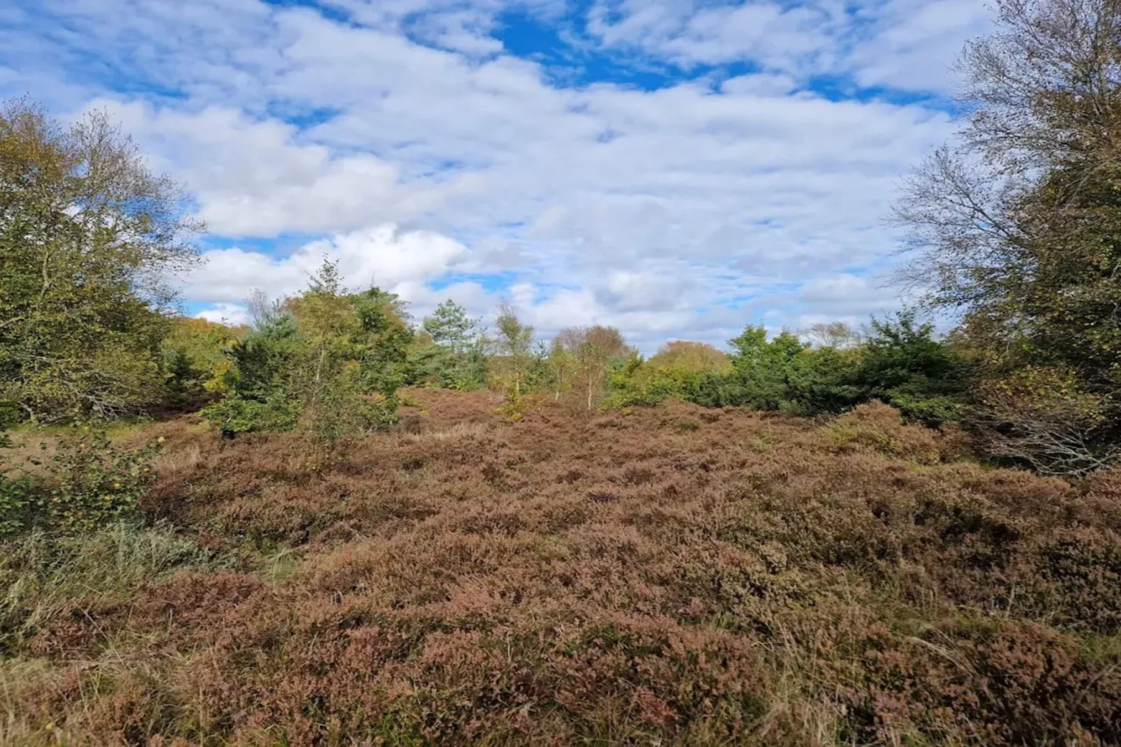 6 persoons vakantie huis in Hadsund-By Traum-Niet-getagd