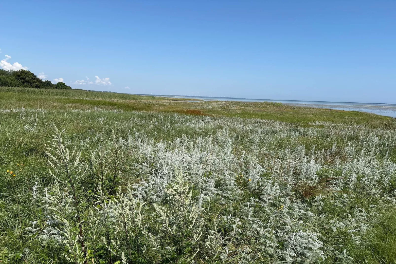 14 persoons vakantie huis in Ørsted-By Traum-Niet-getagd