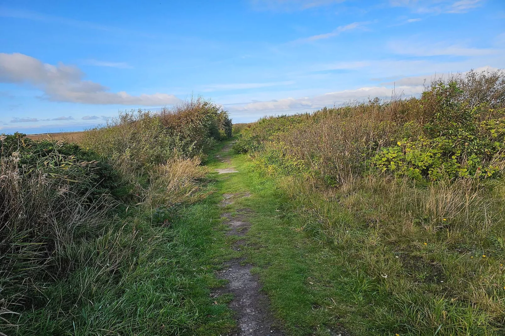 Afgelegen paradijs in Kelstrup -- By Traum Ferienwohnungen-Niet-getagd