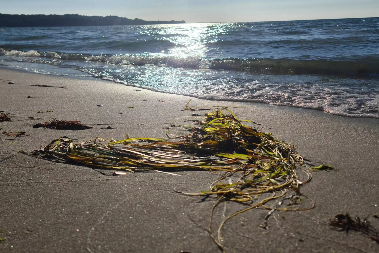 Luxe retraite met zwembad -- By Traum Ferienwohnungen-Waterzicht