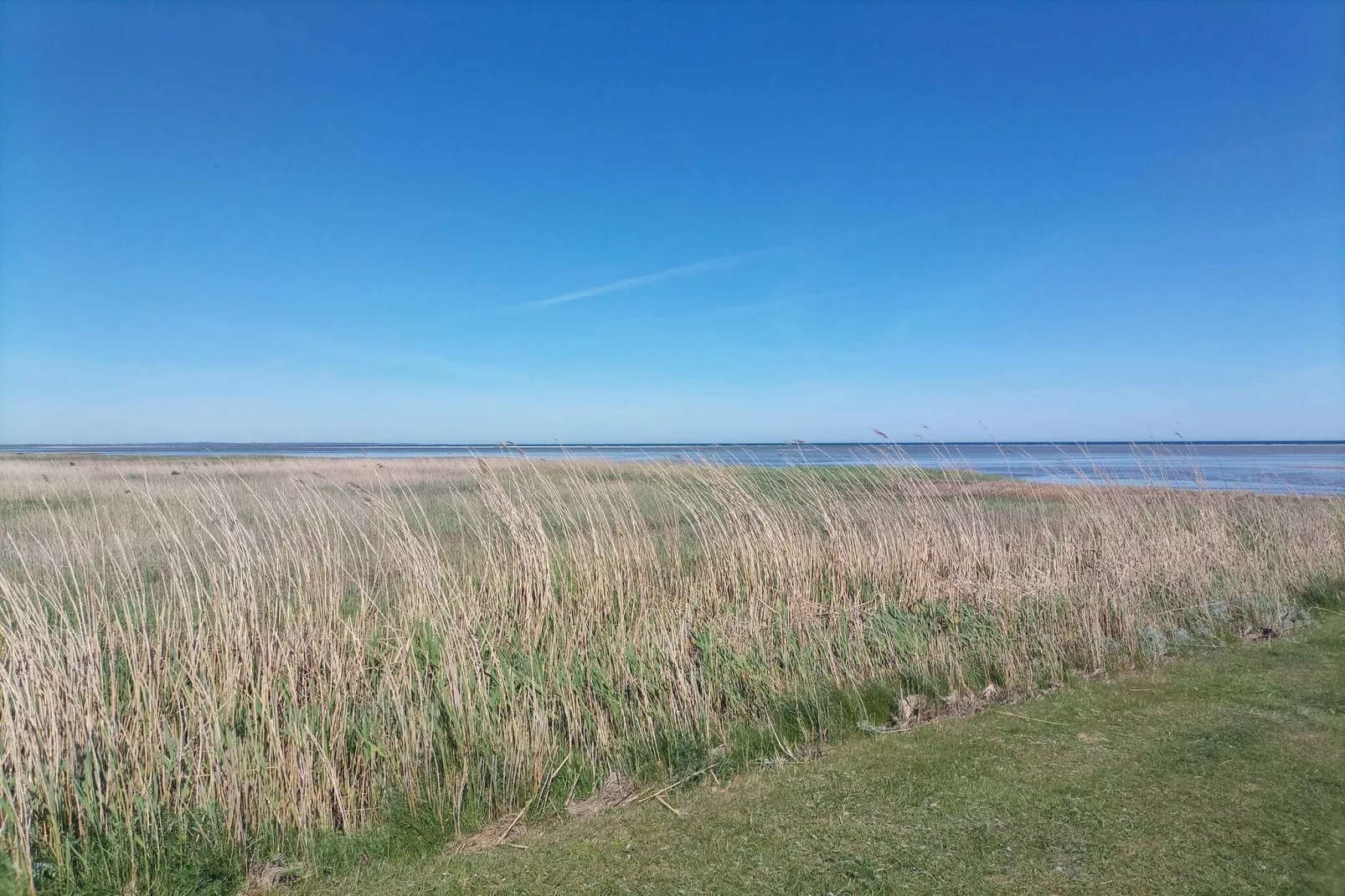 14 persoons vakantie huis in Ørsted-By Traum-Niet-getagd