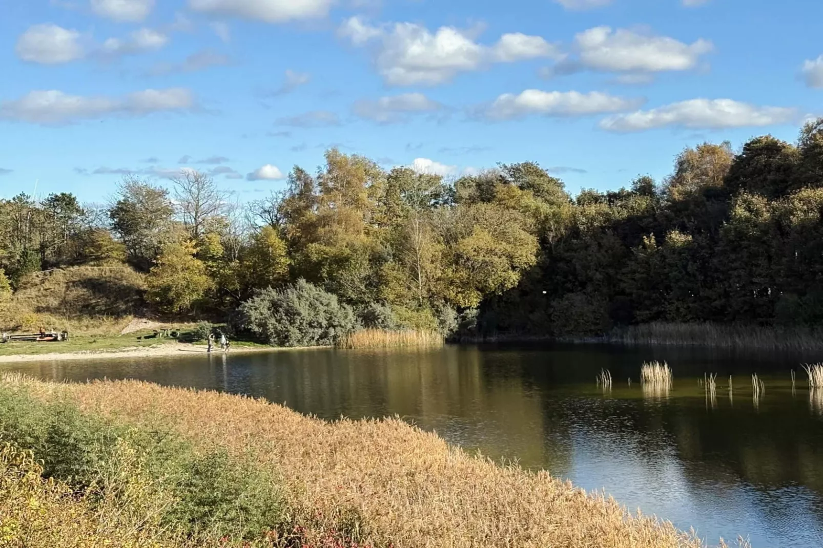 6 Personen vakantie huis in Borup-Niet-getagd