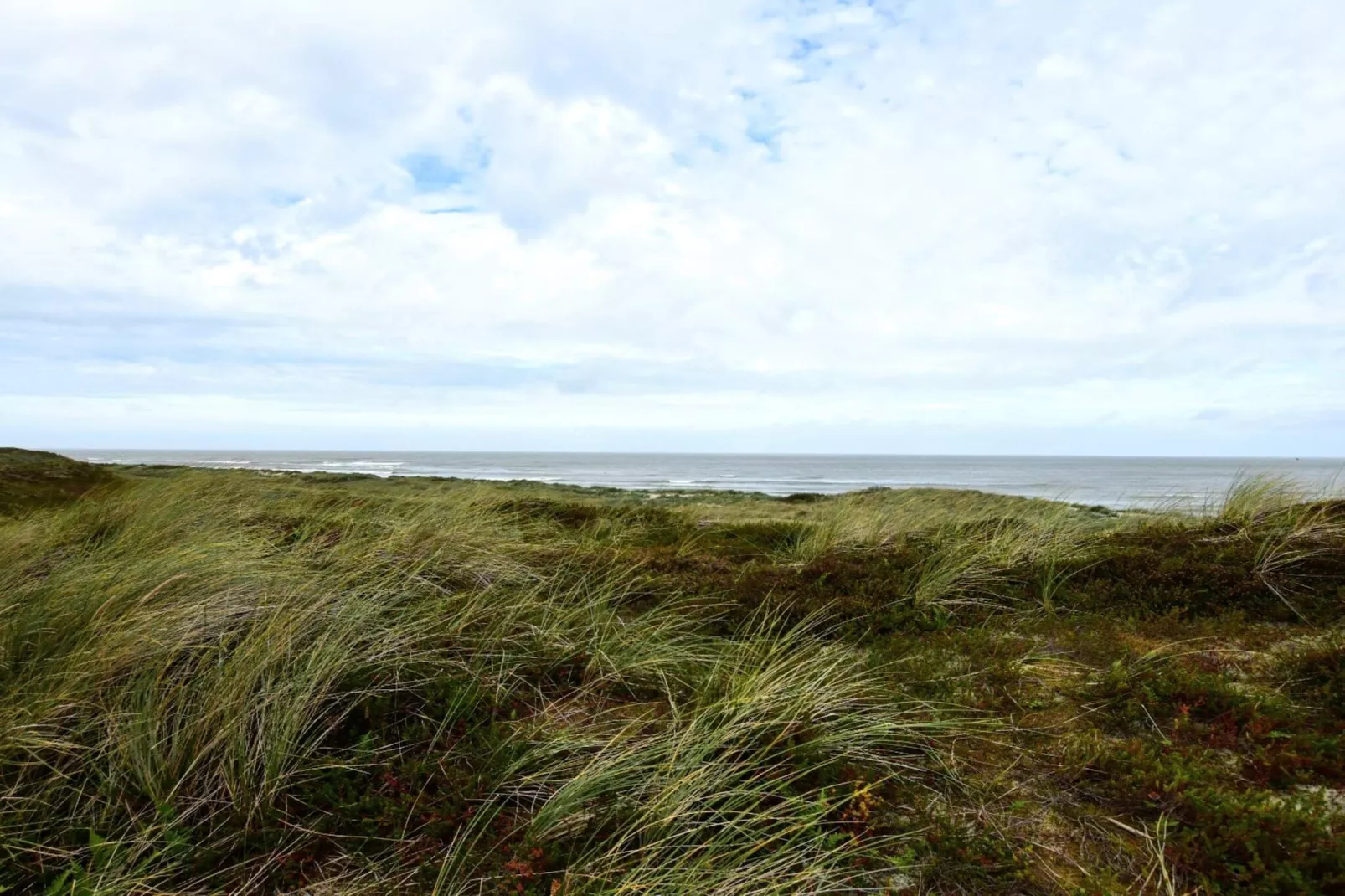 Afgelegen toevlucht nabij strand -- By Traum Ferienwohnungen-Niet-getagd