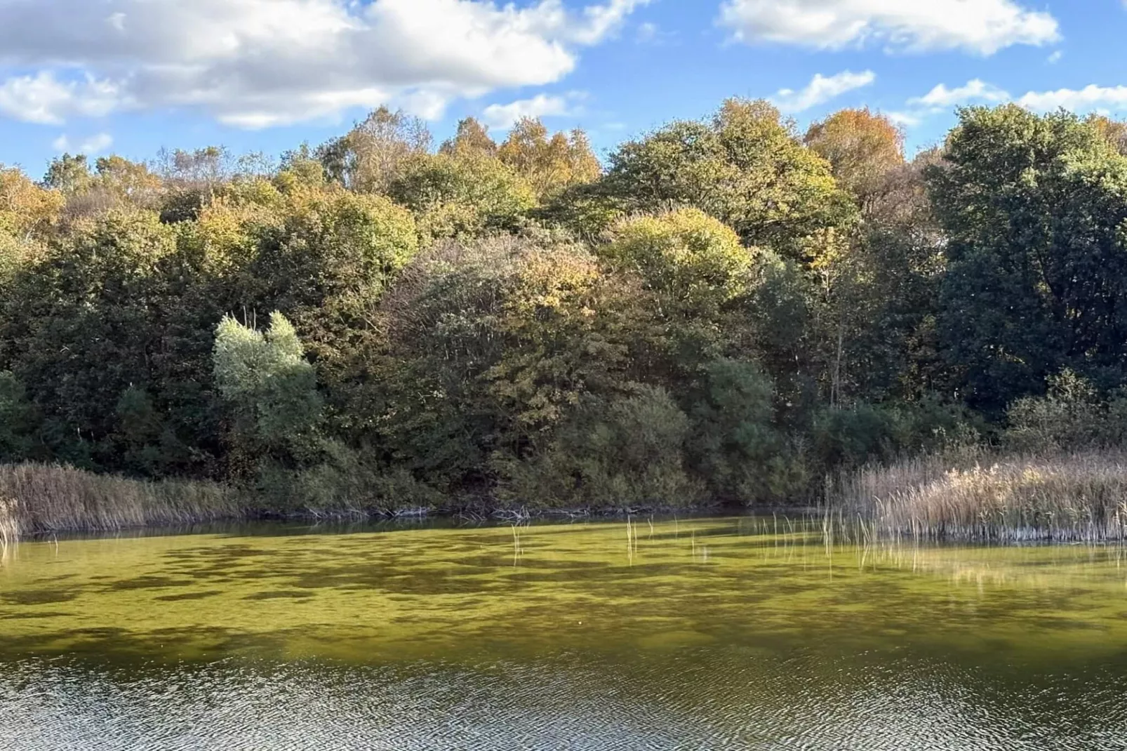 6 Personen vakantie huis in Borup-Niet-getagd