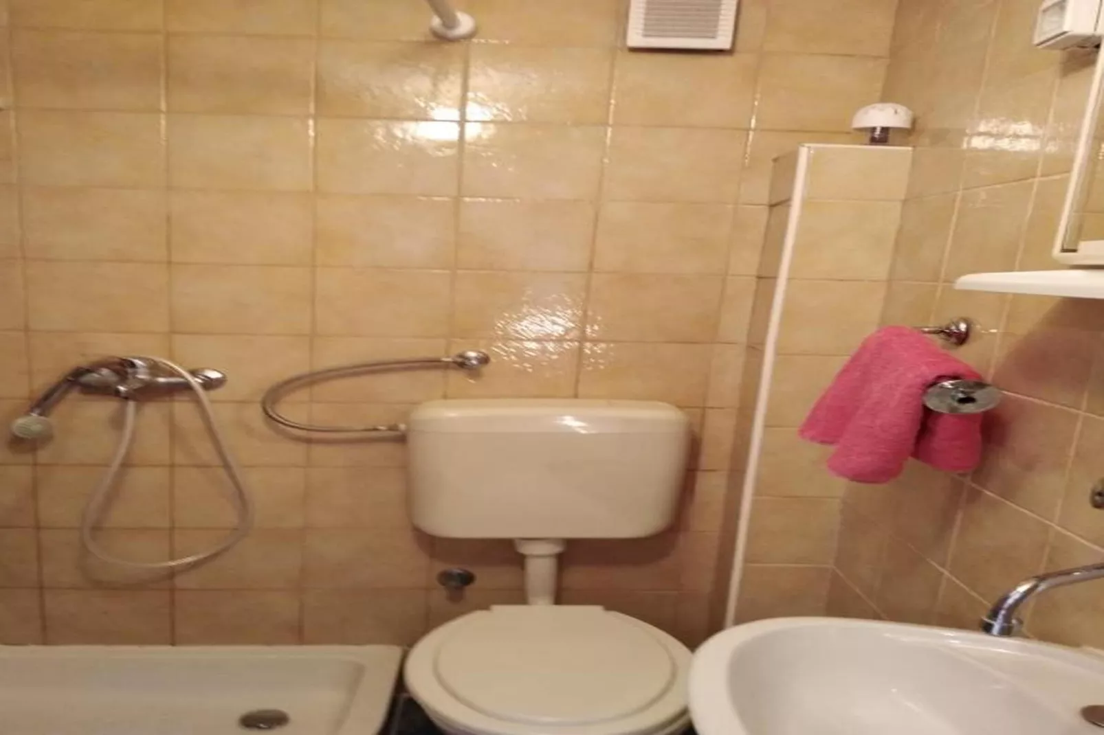 Apartments Lucija - Studio-Badkamer