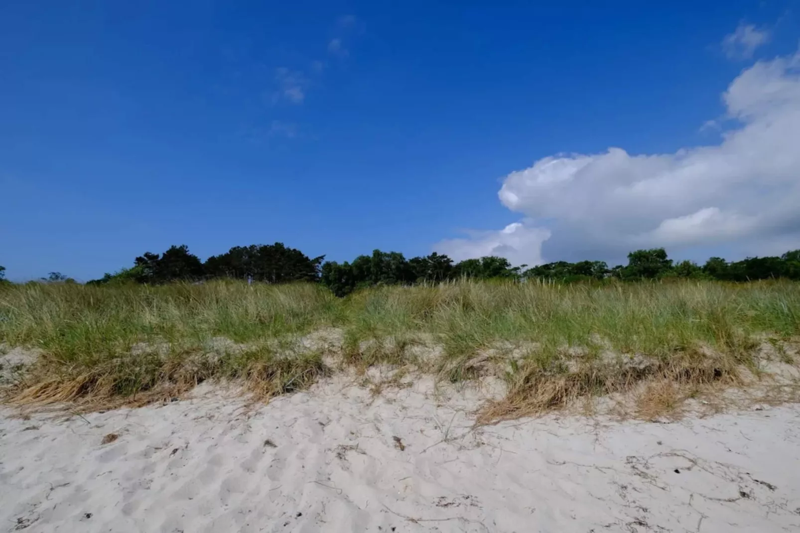 6 persoons vakantie huis in Væggerløse-By Traum-Niet-getagd