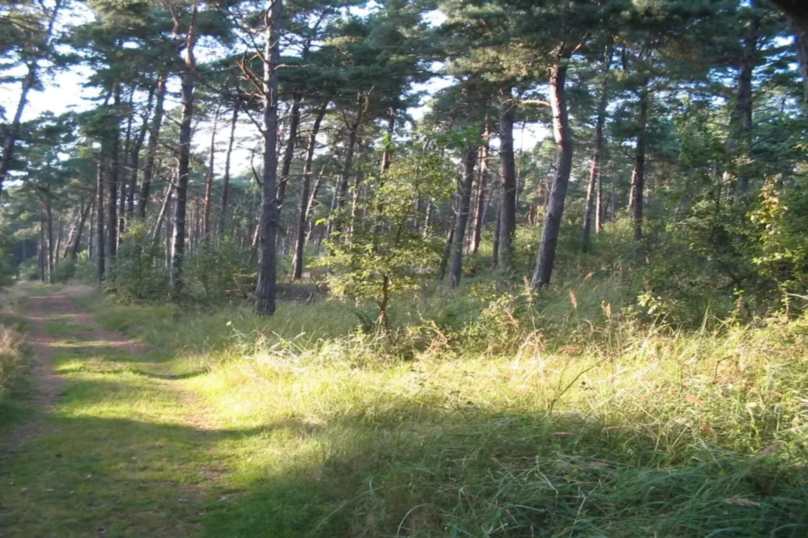 Licht vakantiehuis met bubbelbad -- By Traum Ferienwohnungen-Niet-getagd