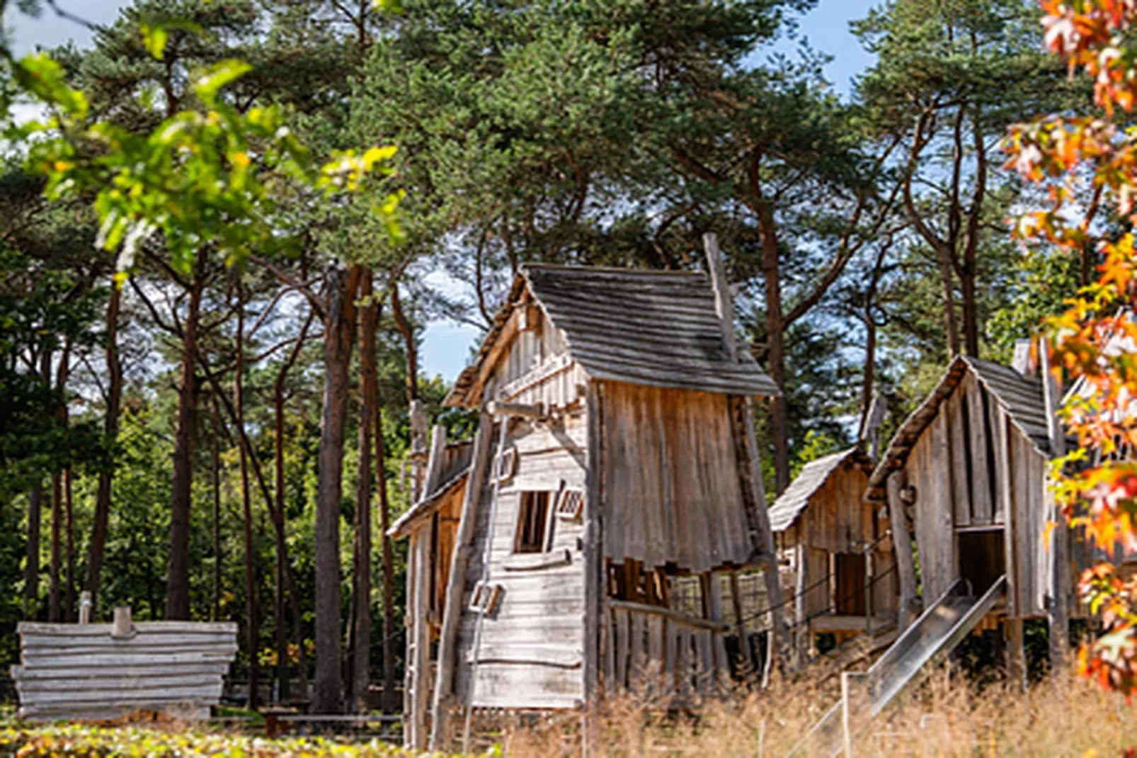 Vakantiepark Molenvelden 11-Buitenkant zomer