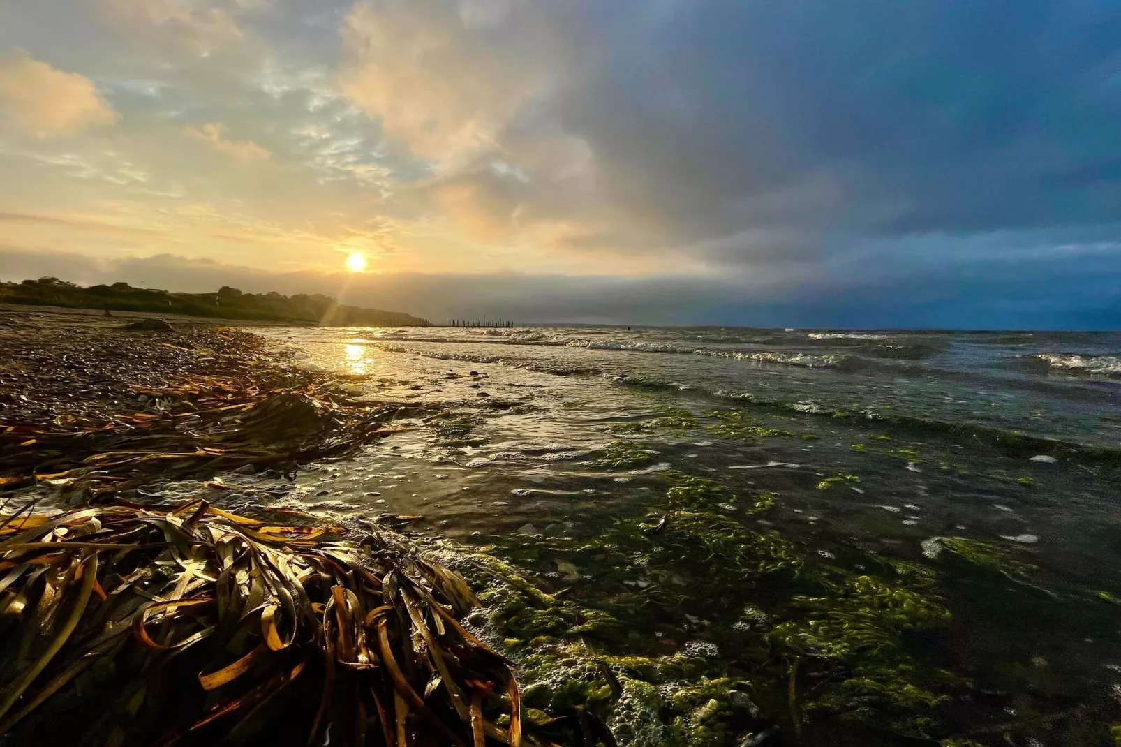10 persoons vakantie huis in Roslev-Waterzicht