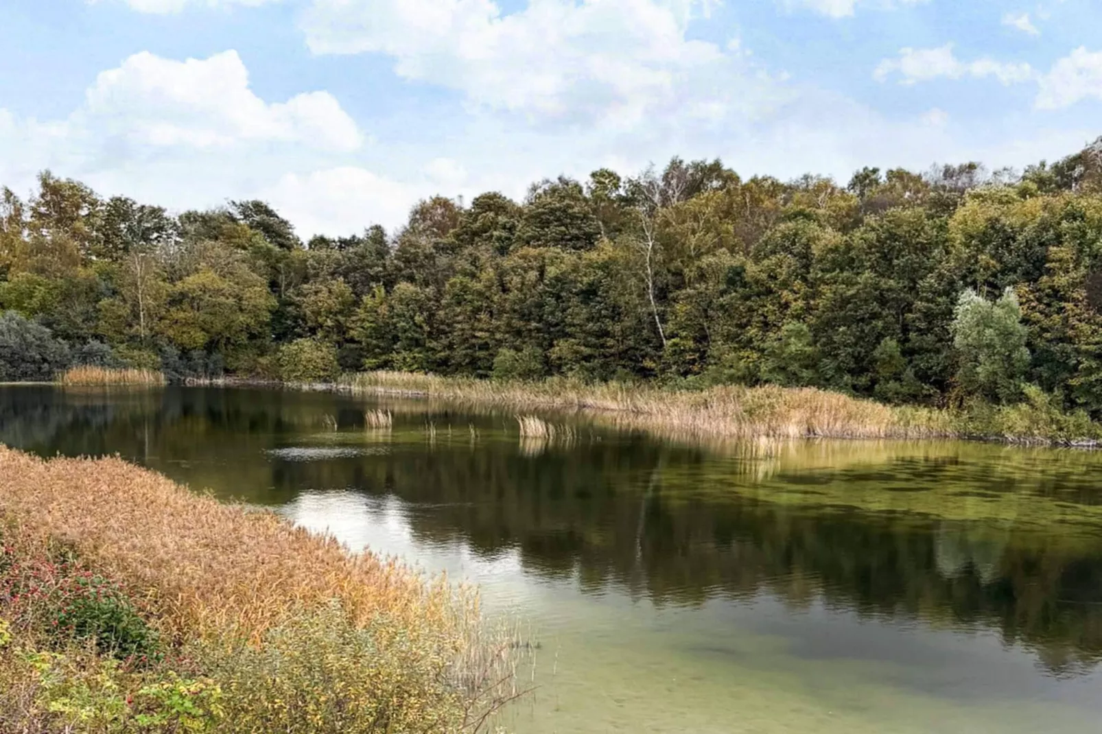 6 Personen vakantie huis in Borup-Niet-getagd