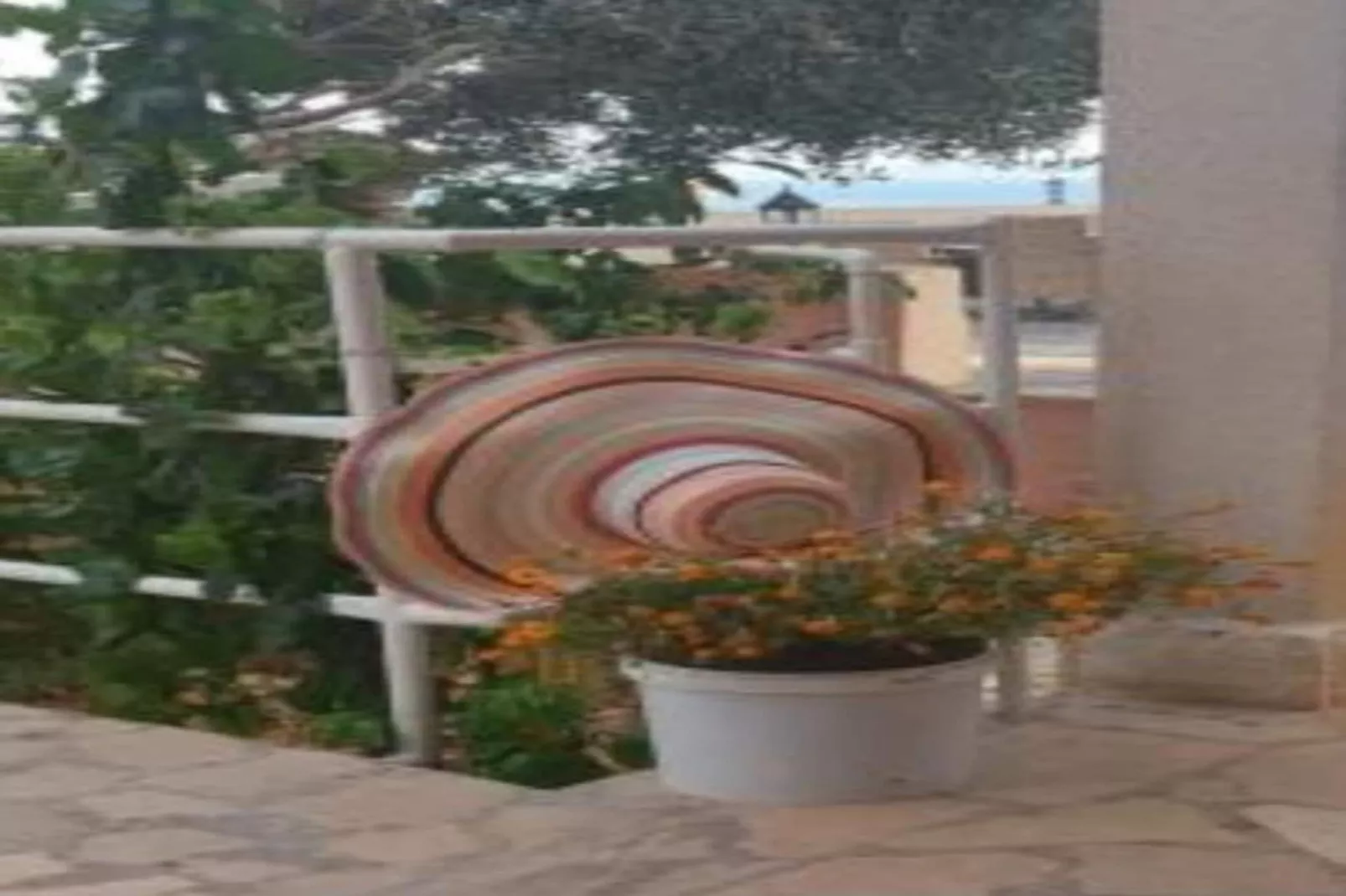 Apartments Lucija - Studio-Sfeer