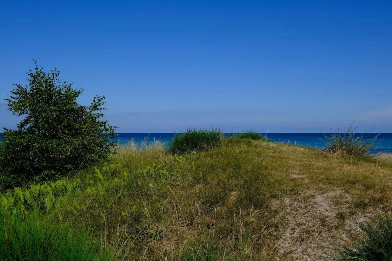 Licht vakantiehuis met bubbelbad -- By Traum Ferienwohnungen-Waterzicht