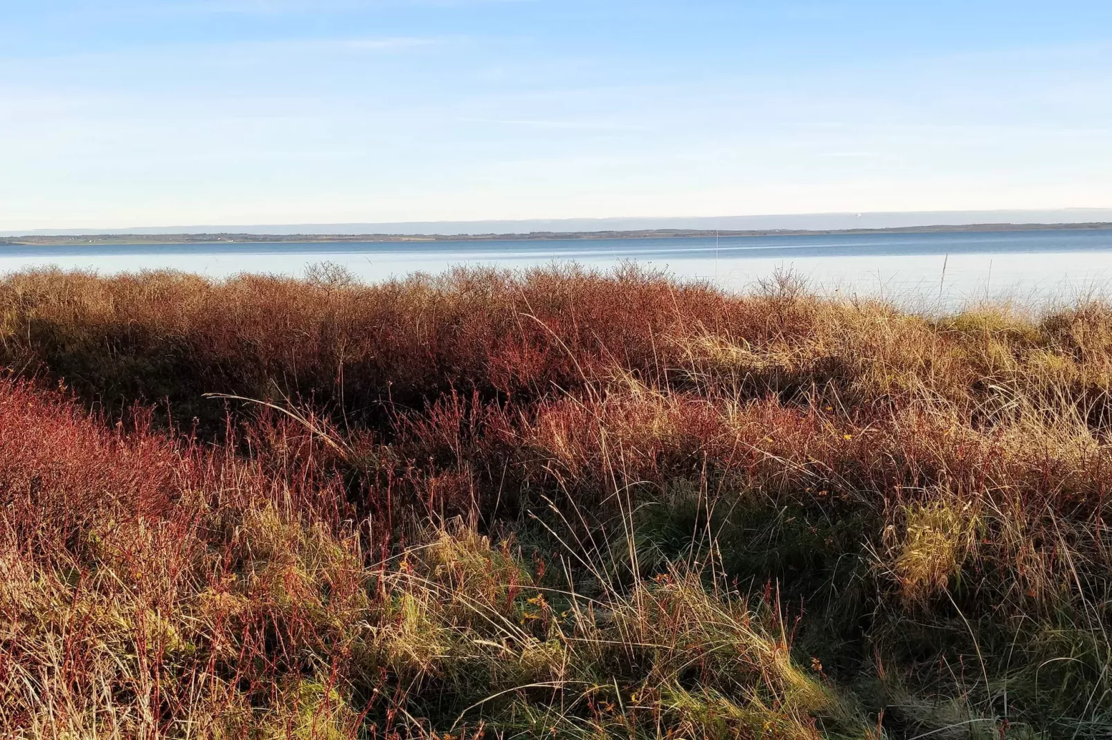 10 persoons vakantie huis in Roslev-Waterzicht