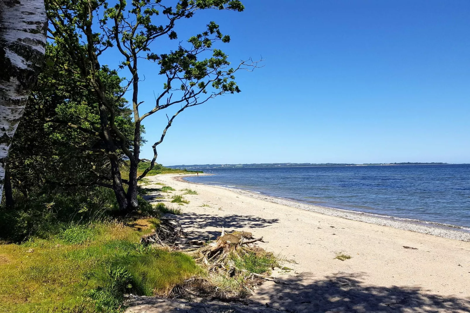 10 persoons vakantie huis in Roslev-Waterzicht