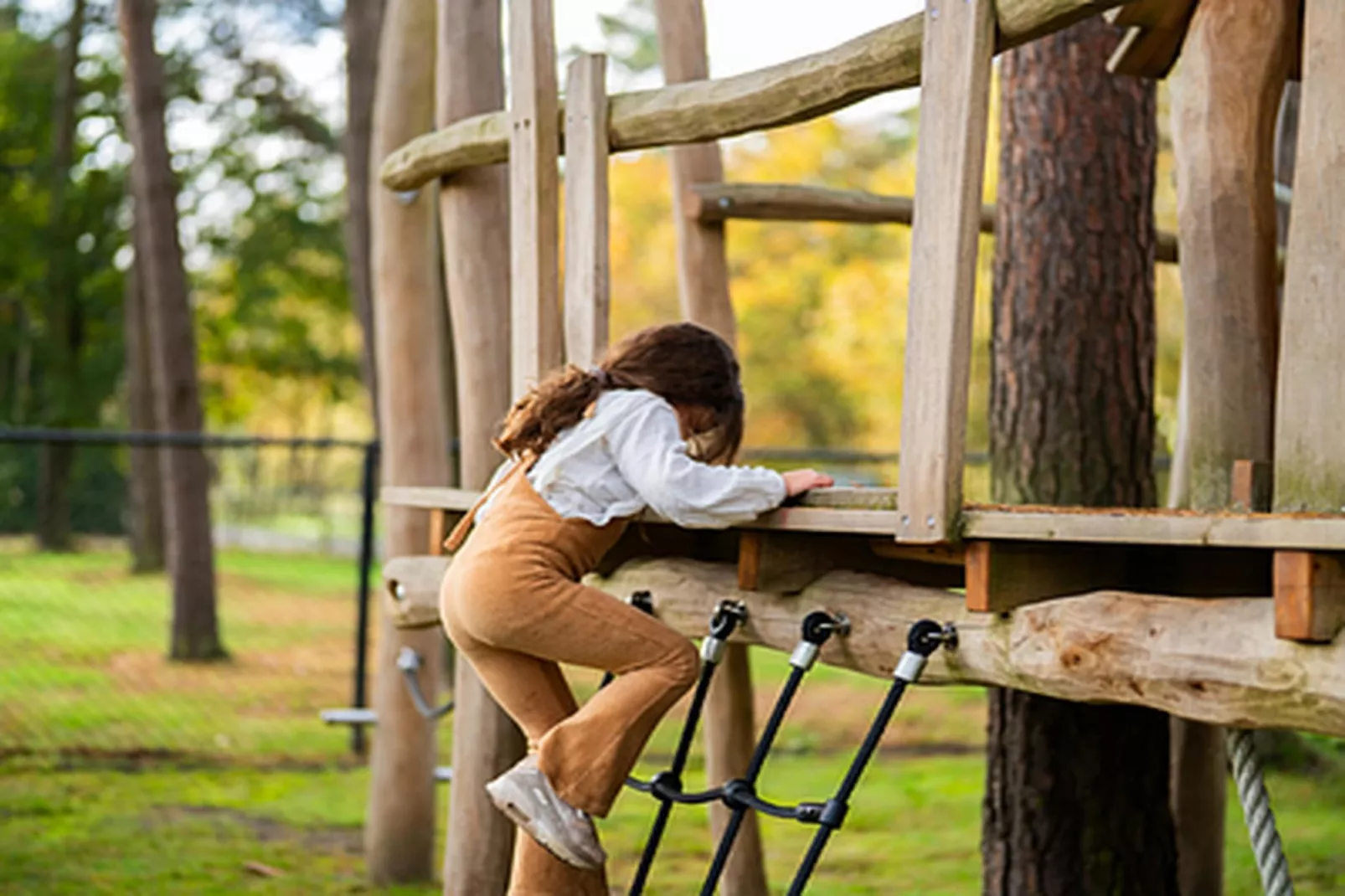 Vakantiepark Molenvelden 11-Faciliteiten