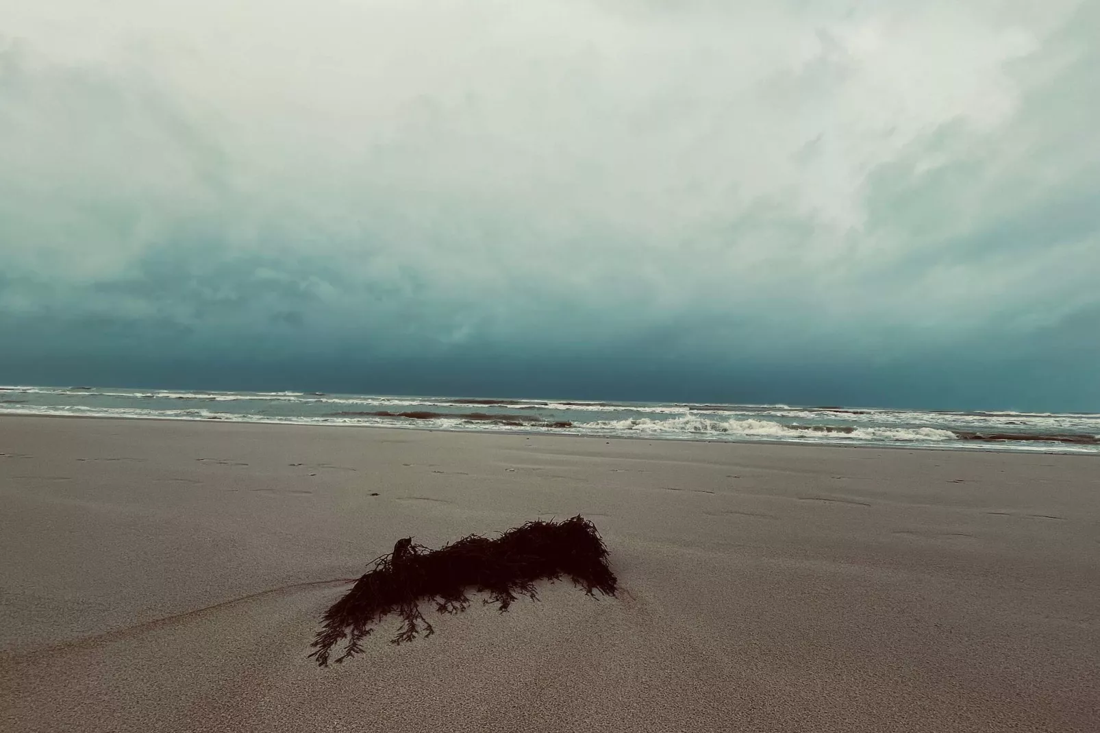 Modern Strandverblijf -- By Traum Ferienwohnungen-Waterzicht