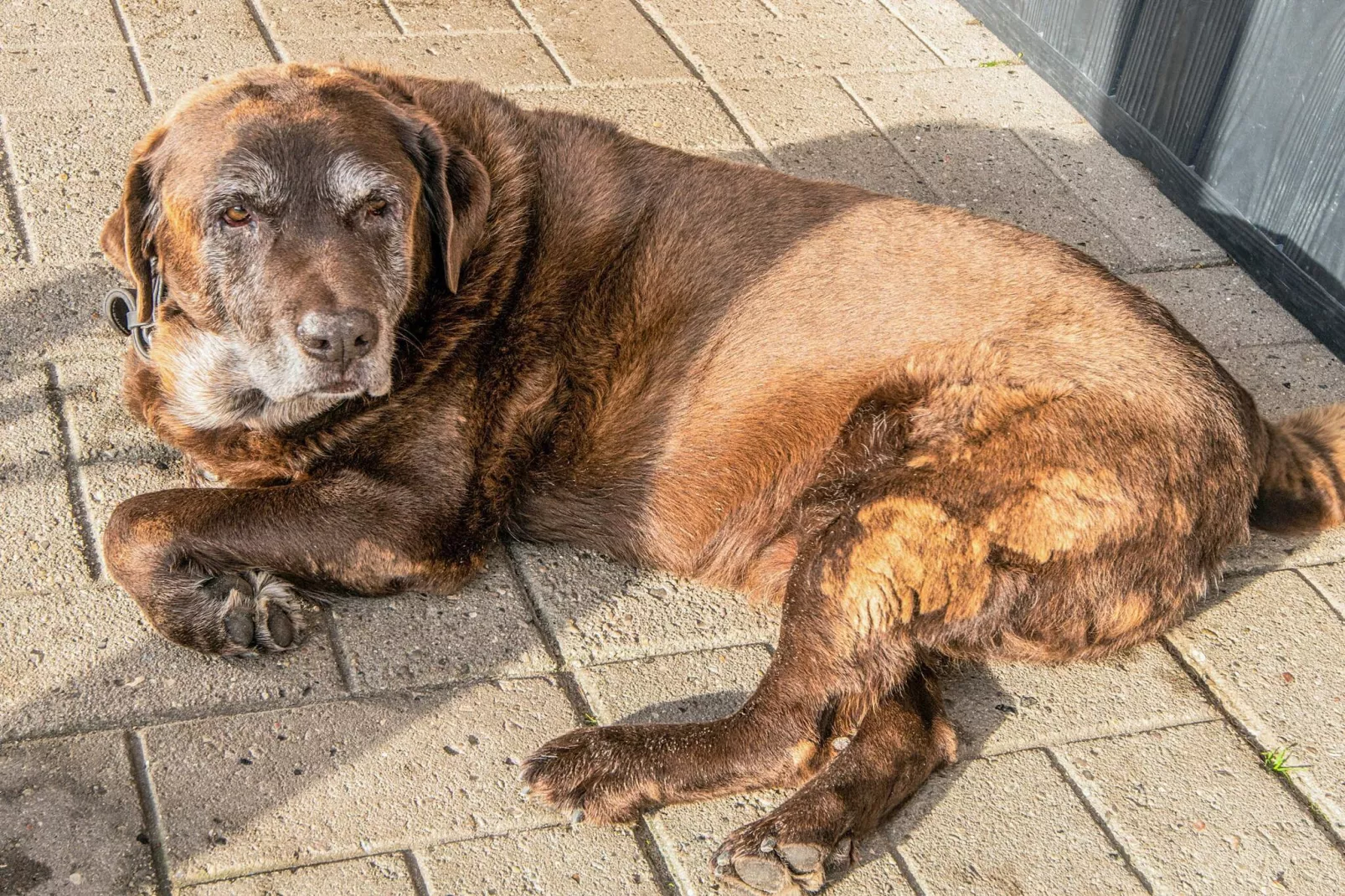 4 Personen vakantie huis in Højer-Binnen