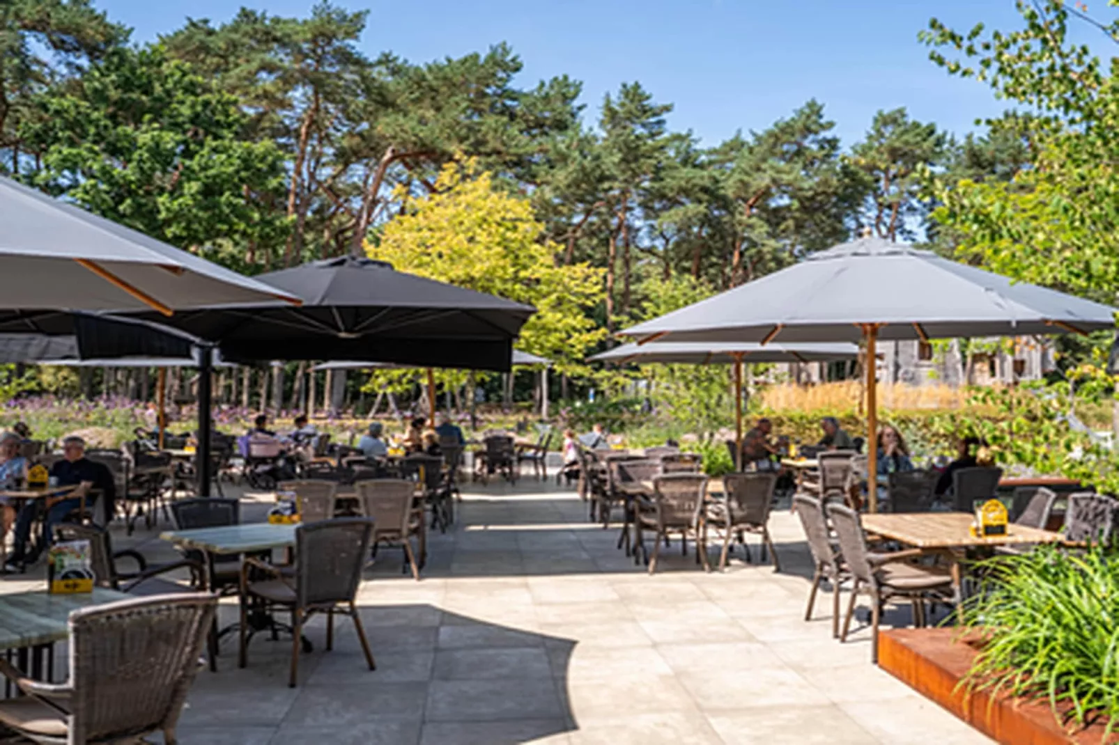 Vakantiepark Molenvelden 11-Faciliteiten