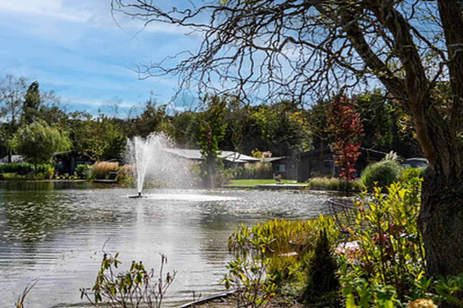 Vakantiepark Molenvelden 11-Gebieden zomer 1km