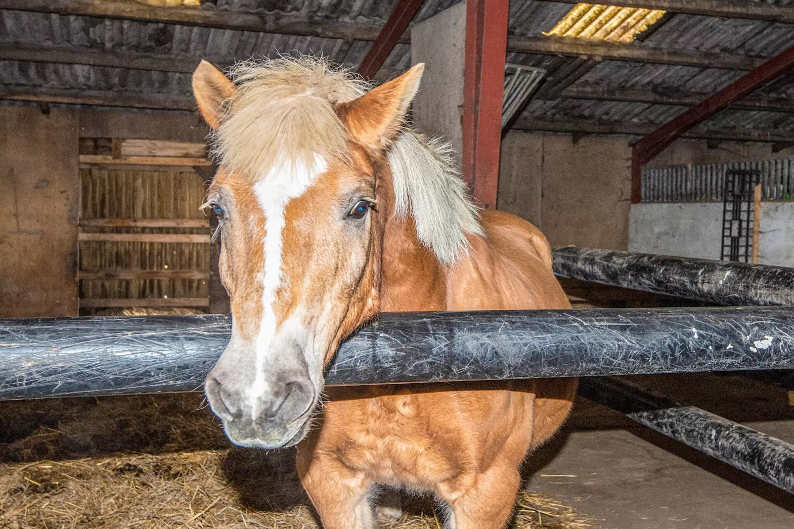 4 Personen vakantie huis in Højer-Binnen