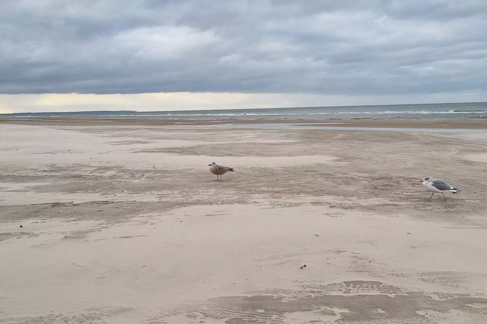 Modern Strandverblijf -- By Traum Ferienwohnungen-Waterzicht