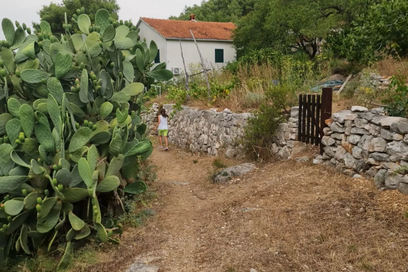 Apartments Stiniva Hvar - One Bedroom Apartment With Terrace (A1)-Buitenlucht