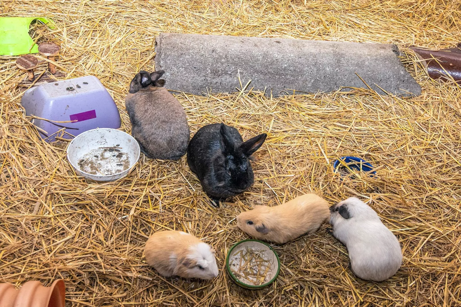4 Personen vakantie huis in Højer-Binnen