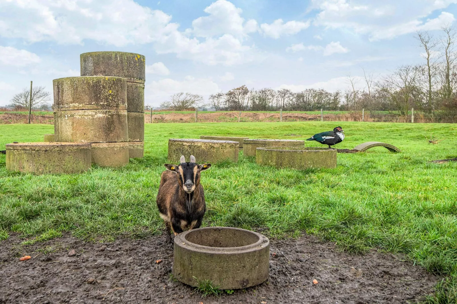 4 Personen vakantie huis in Højer-Binnen