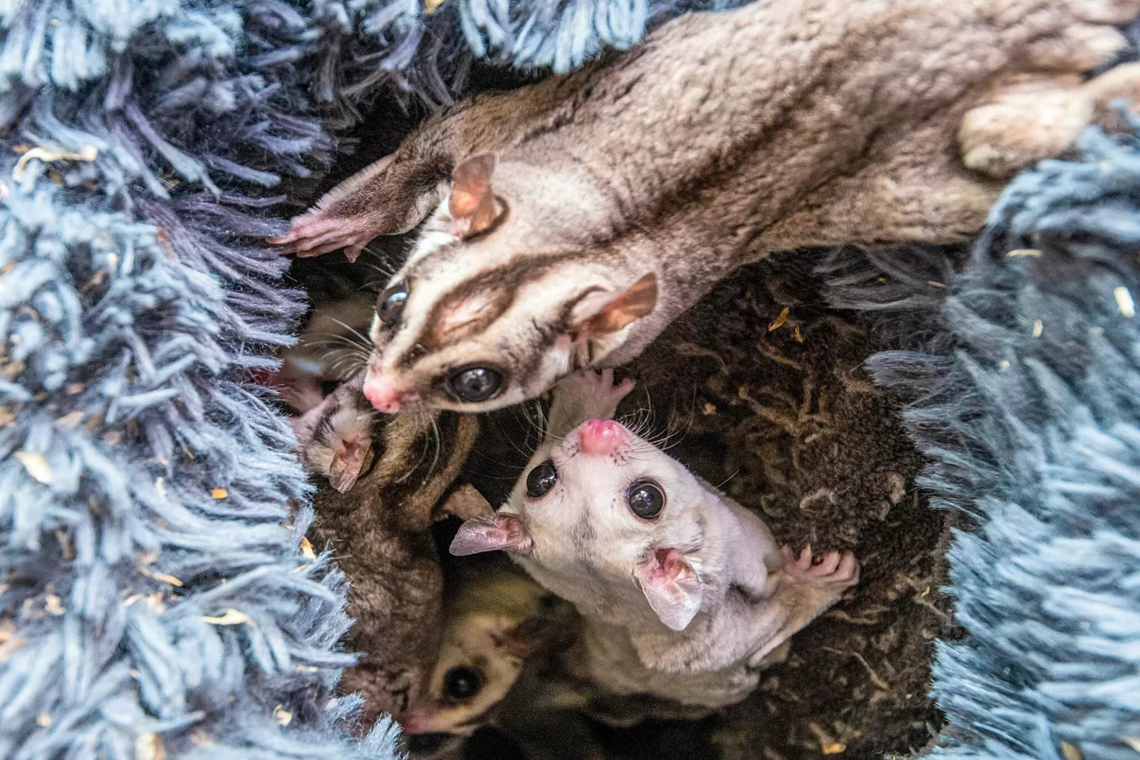 4 Personen vakantie huis in Højer-Binnen