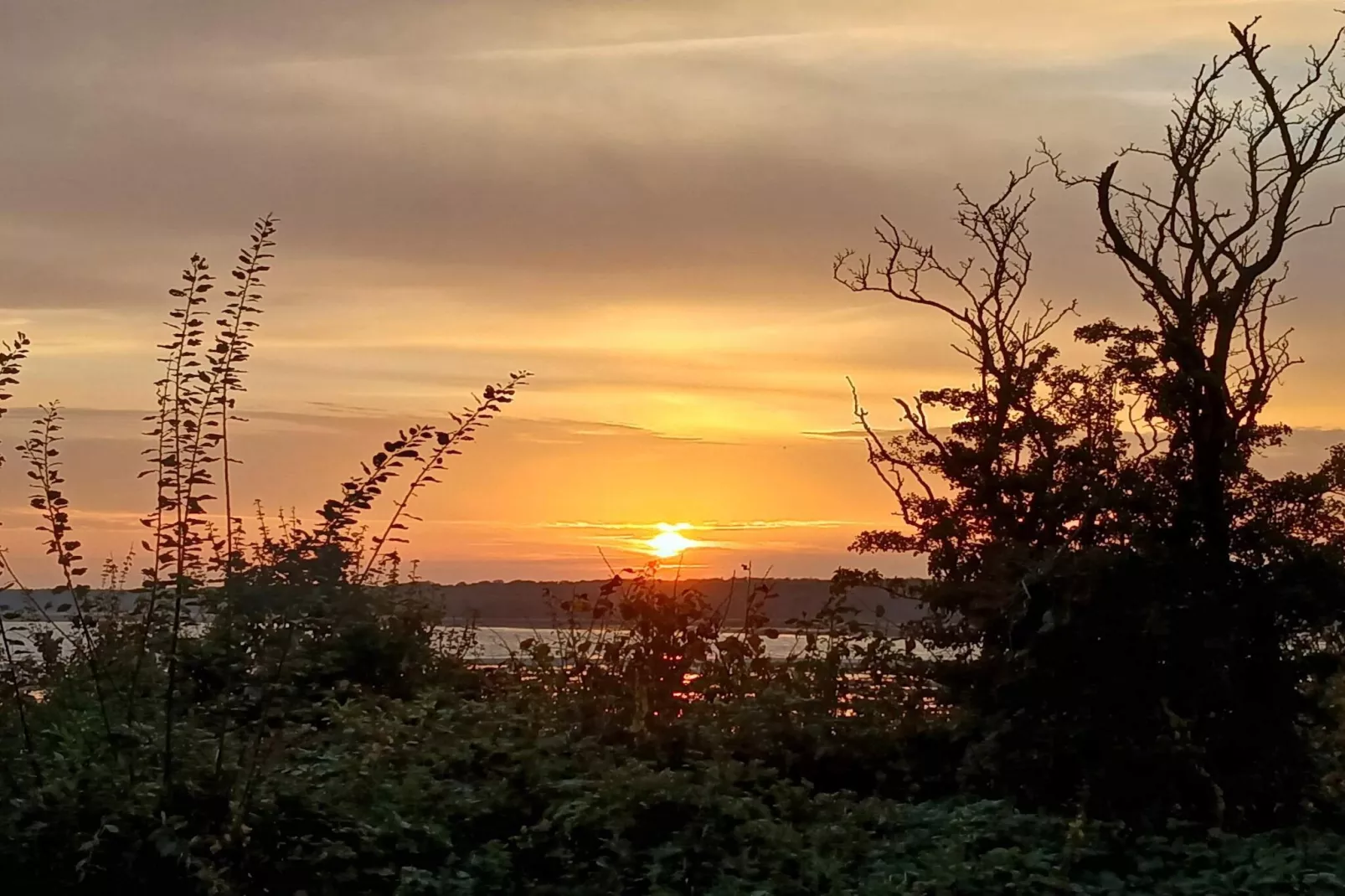 8 persoons vakantie huis in Ølsted-By Traum-Niet-getagd