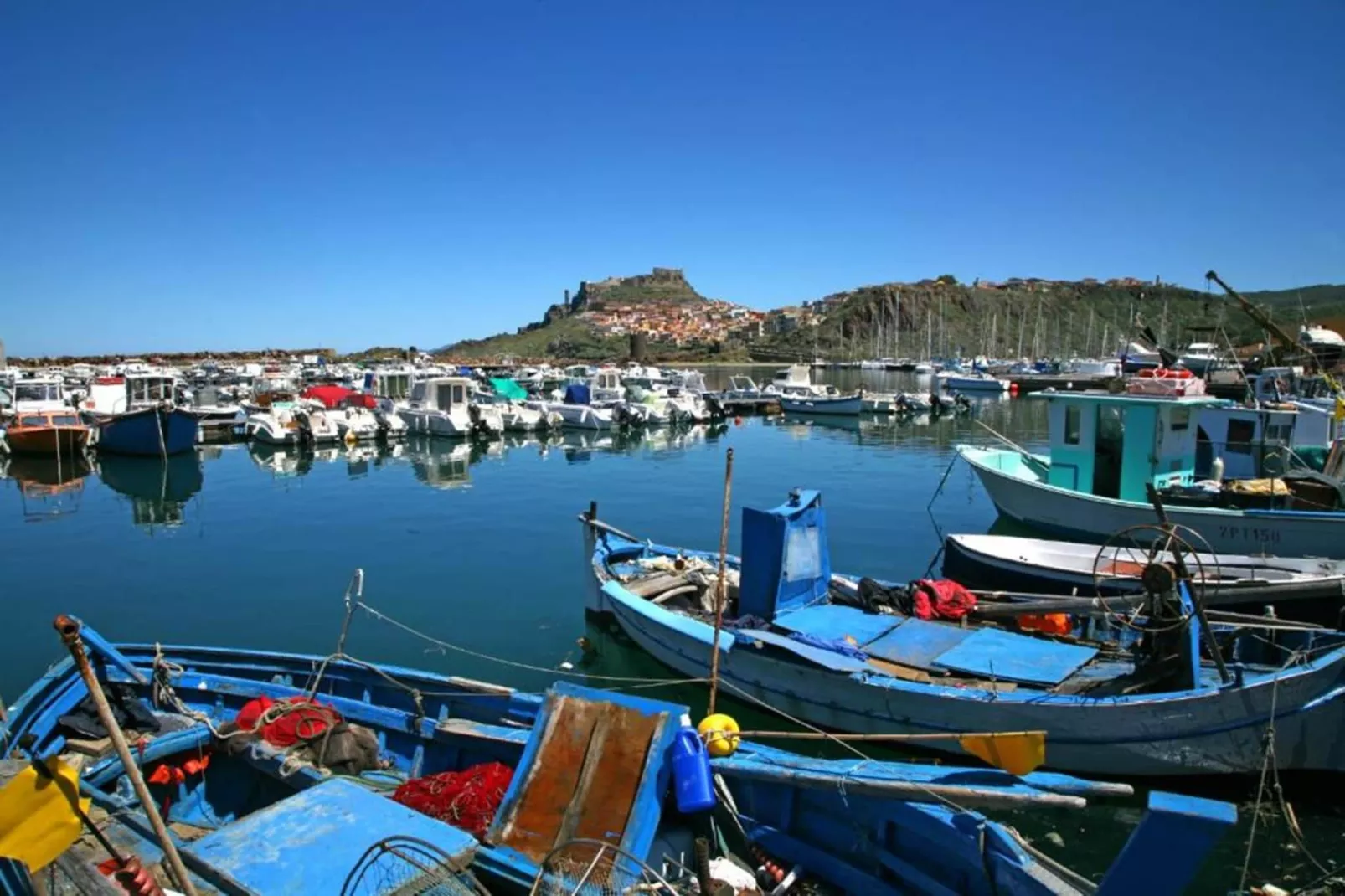 ELEONORA-Gebieden zomer 5km