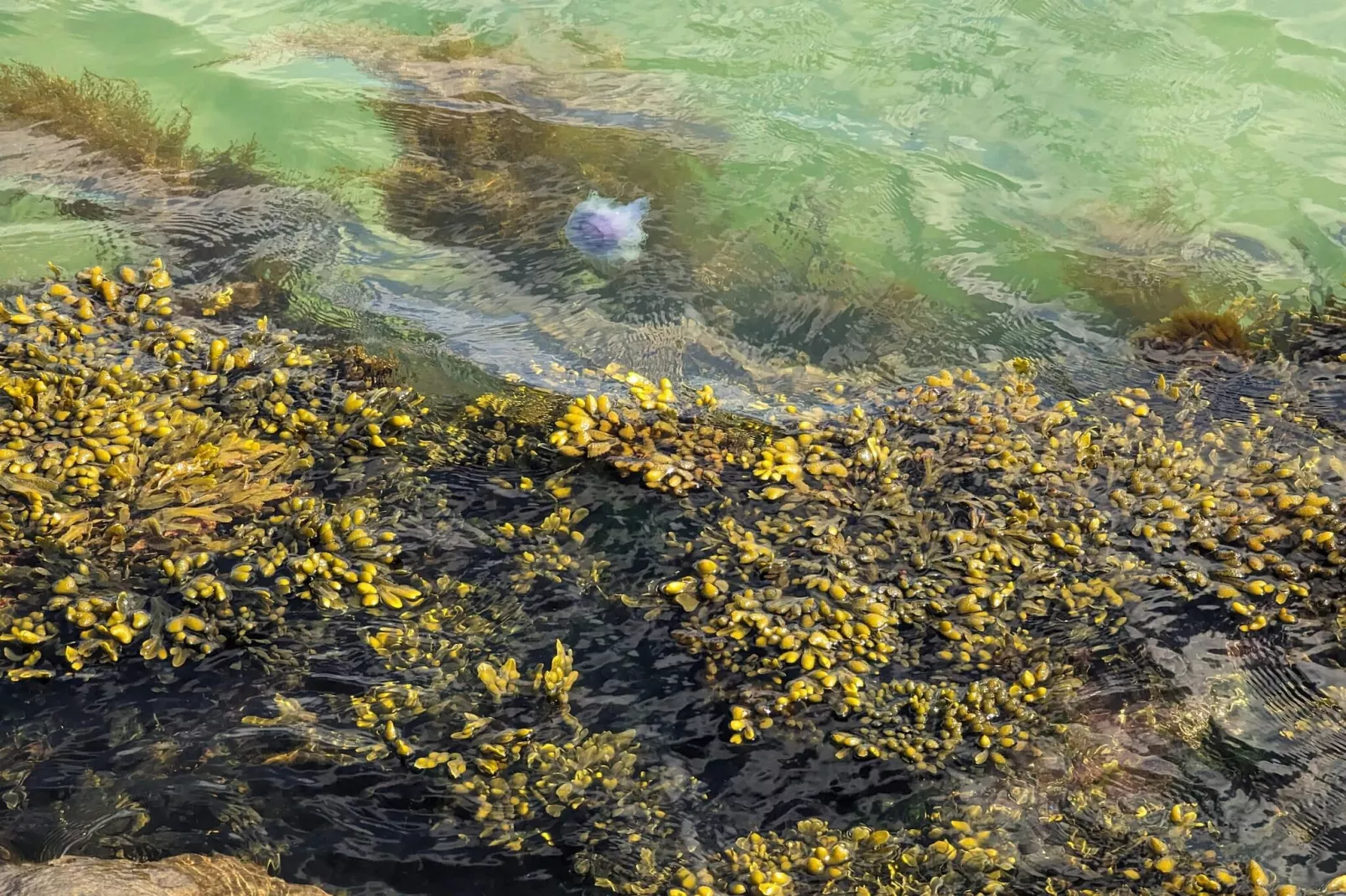 6 persoons vakantie huis in Frederikshavn-By Traum-Niet-getagd