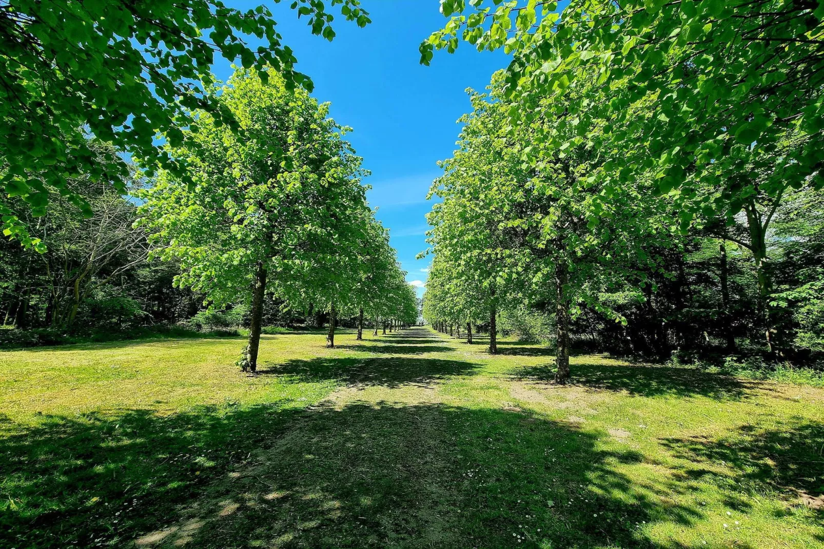 4 persoons vakantie huis in Skibby-By Traum-Niet-getagd