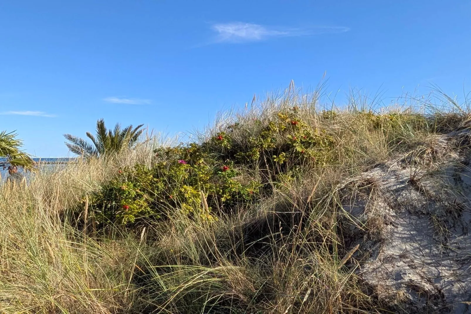 6 persoons vakantie huis in Frederikshavn-By Traum-Niet-getagd