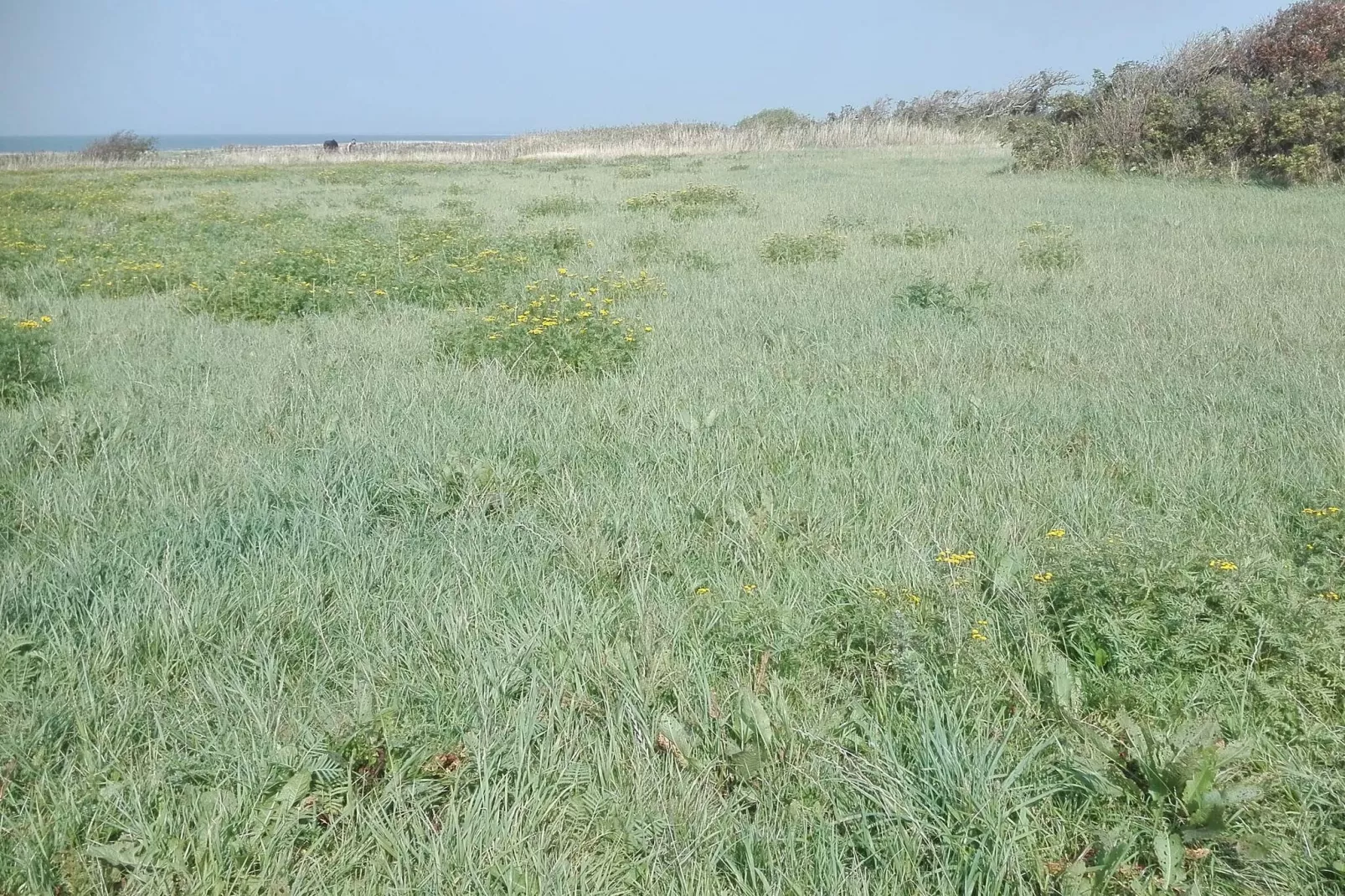 7 persoons vakantie huis in Bredebro-By Traum-Niet-getagd