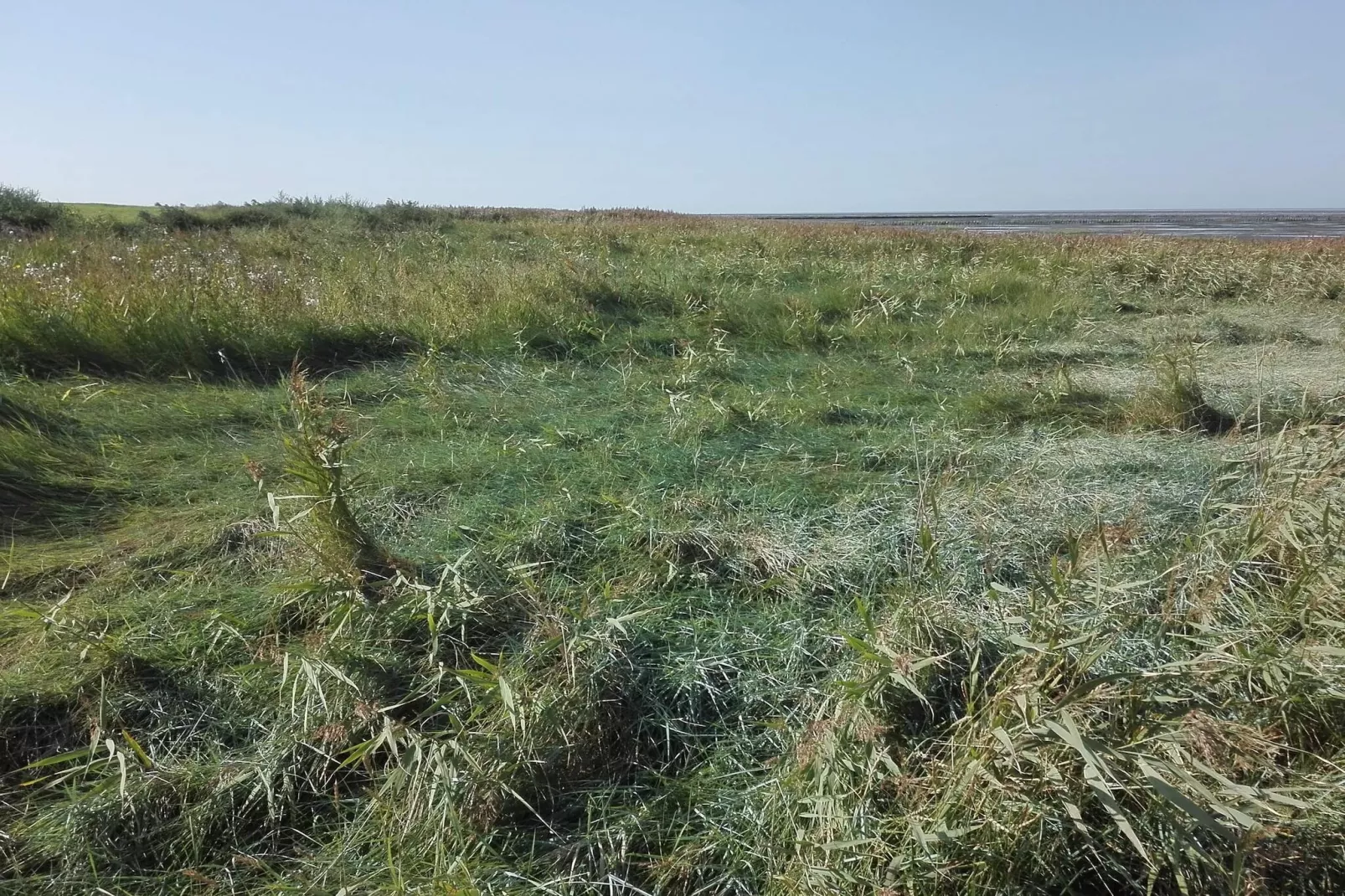 7 persoons vakantie huis in Bredebro-By Traum-Niet-getagd