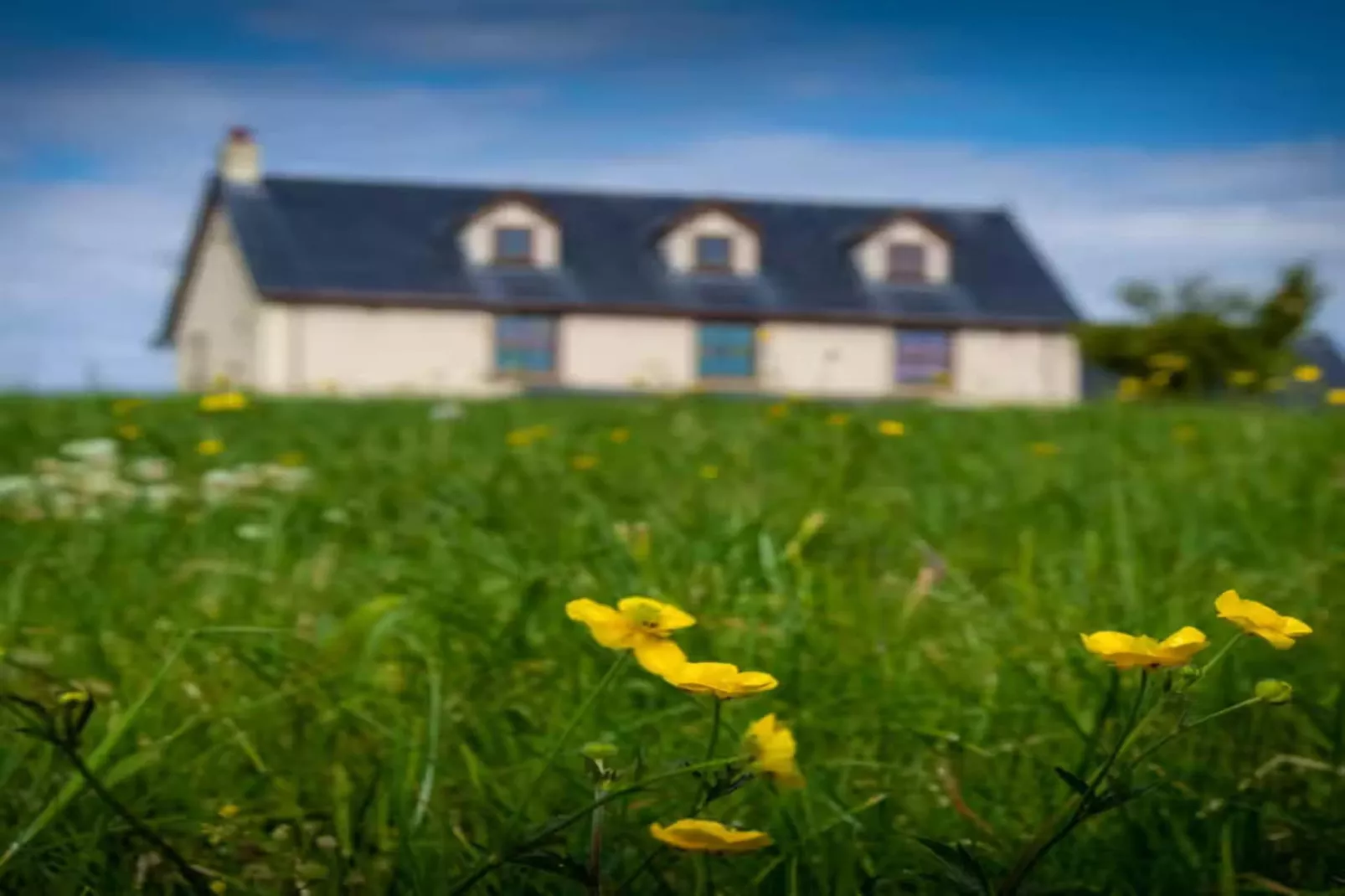 High Cloud Farm & Barn-Buitenkant zomer