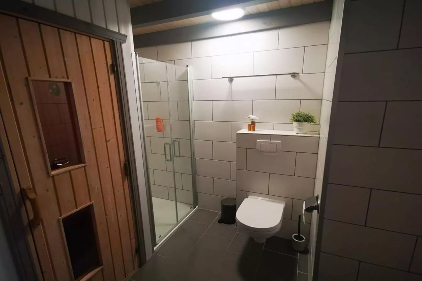 FH Wildgans Comfort mit Sauna & Kaminofen 81 qm 117-Badkamer