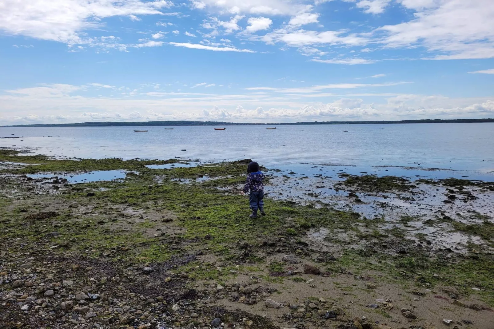 8 persoons vakantie huis in Ølsted-By Traum-Waterzicht